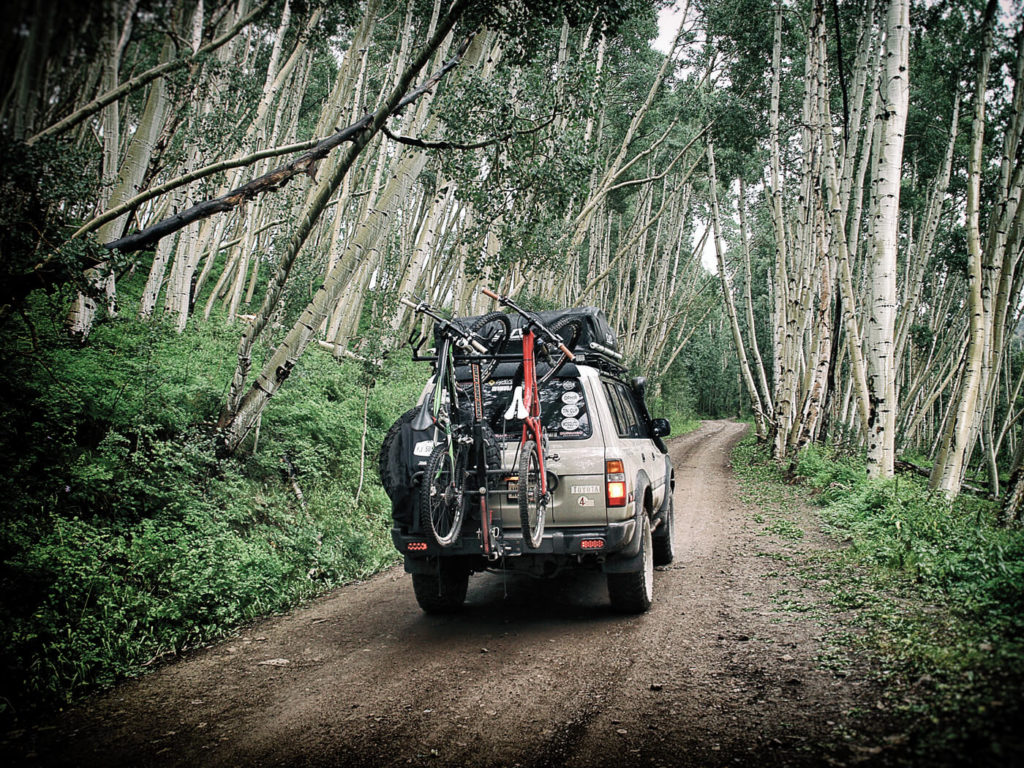 Driving through a sea of trees to the next adventure