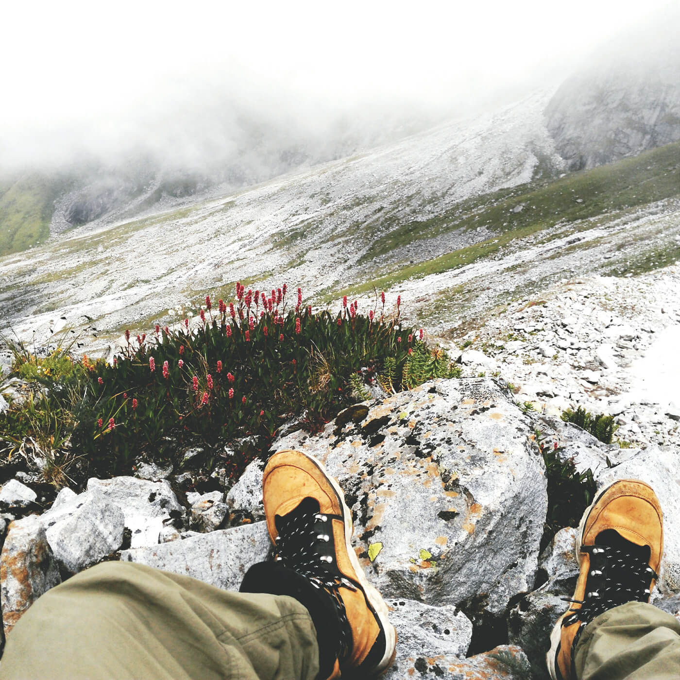 Would using shoe glue to fix this issue make it safe enough to consider  using these shoes for a hike? : r/hikinggear