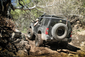 Log Corral Trail