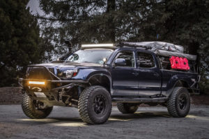 TREAD WIN TACO r