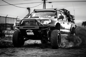 TREAD WIN TACO bw