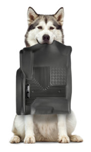 Husky dogXCliner