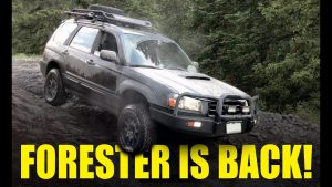 Subaru Forester Off Road