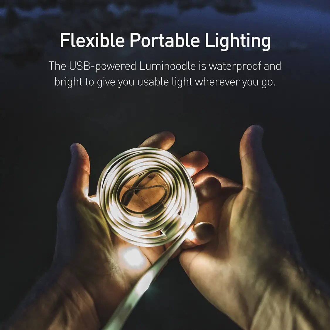 Flexible Portable Light