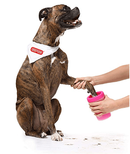 portable dog paw cleaner in camping essentials for dogs // tread magazine