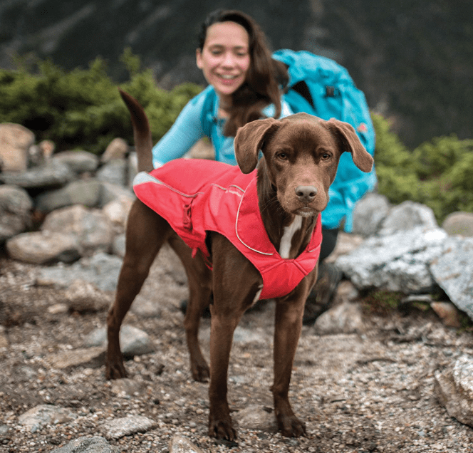 fleece-lined coat for dogs in camping essentials for dogs // tread magazine