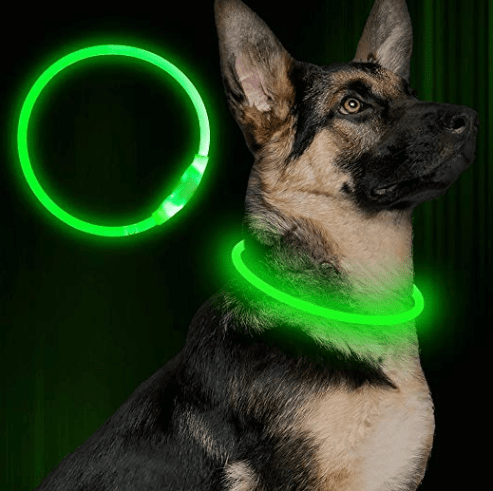 light-up outdoor led dog collar in camping essentials for dogs // tread magazine