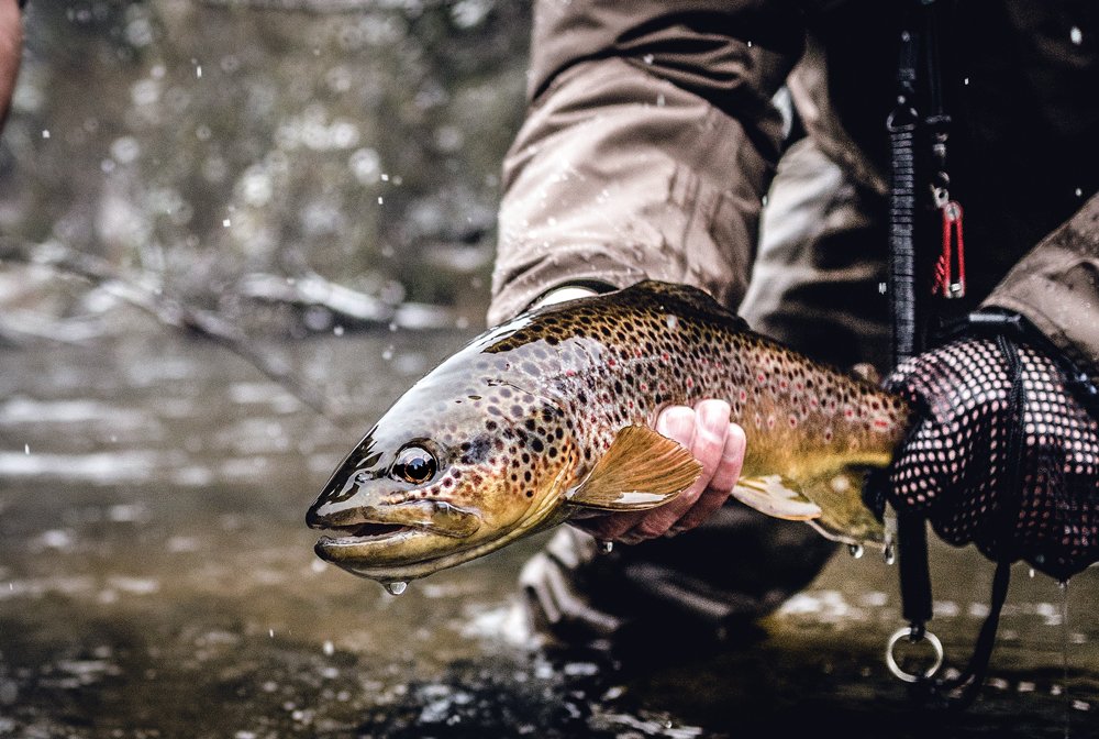 Streamer Fishing from a Raft