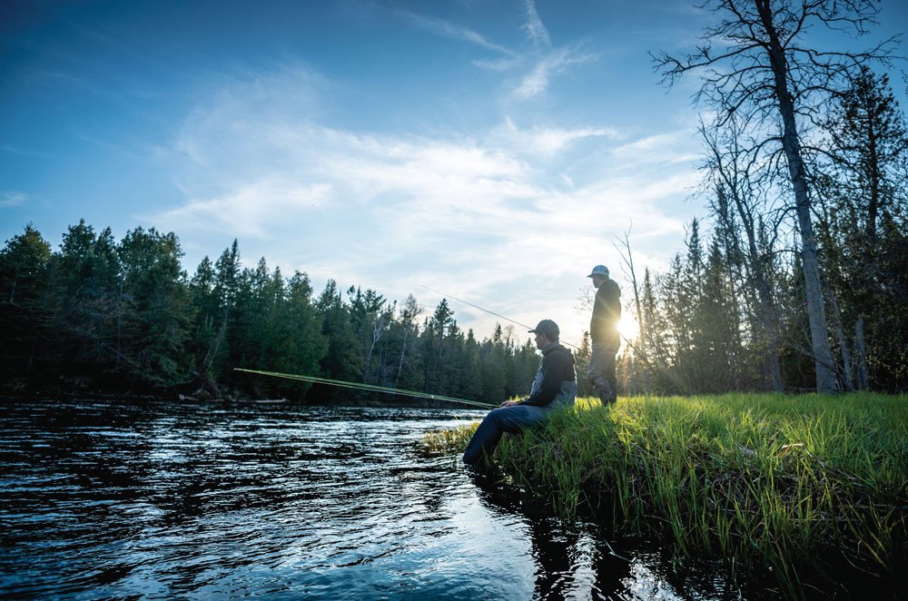 Fishing for brown trout