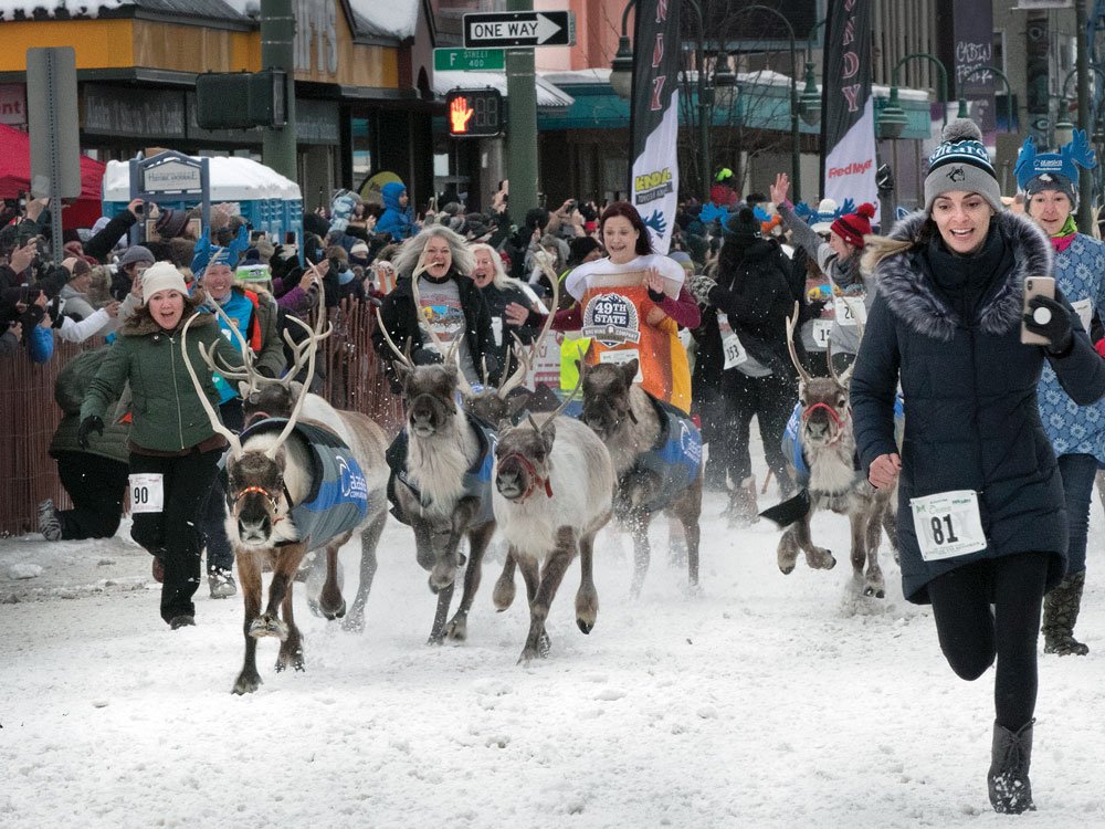 Running of the Reindeer to start the Iditarod race