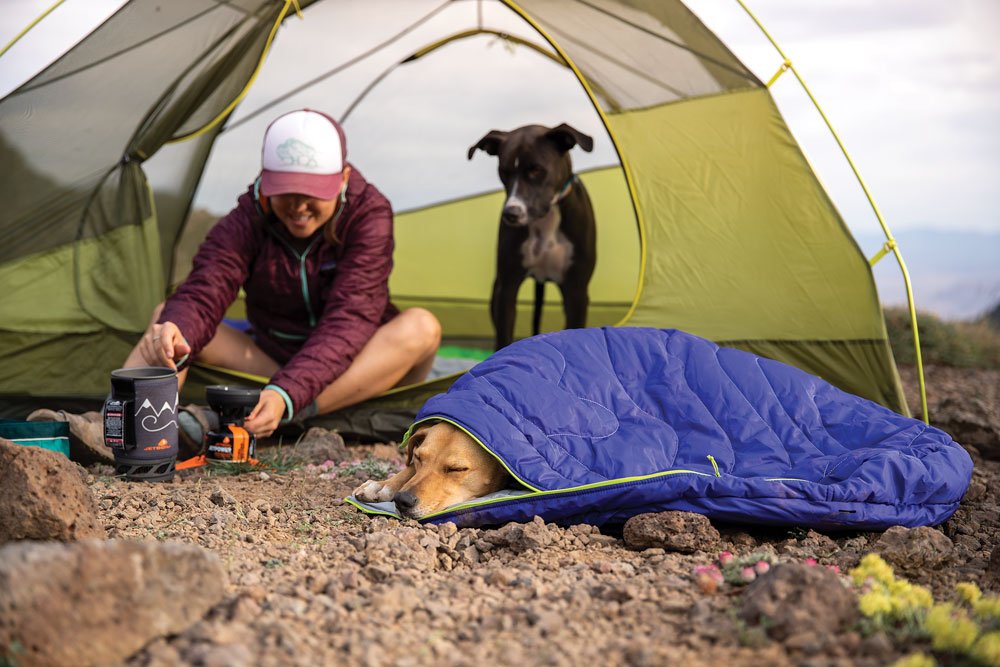 Make sure your pup has a place to sleep at the campground