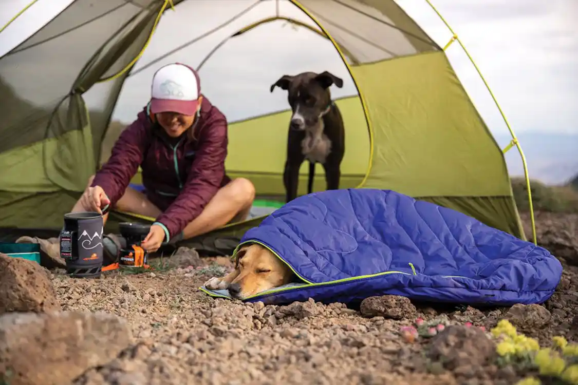 Make sure your pup has a place to sleep at the campground