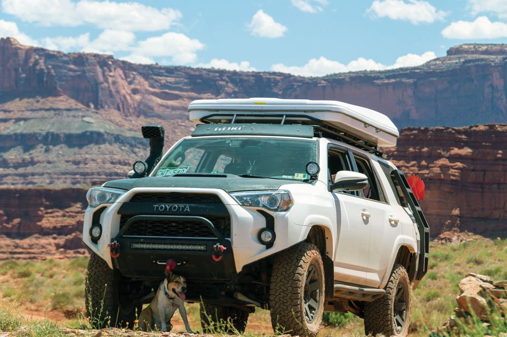 The McDonalds' overlanding dog sits in the shade of the Toyota