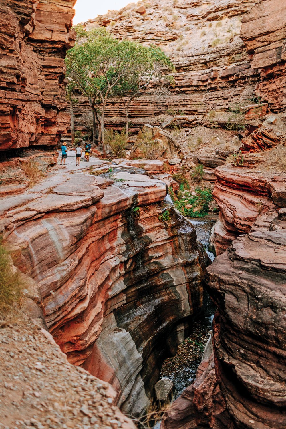 Descent to the Colorado River