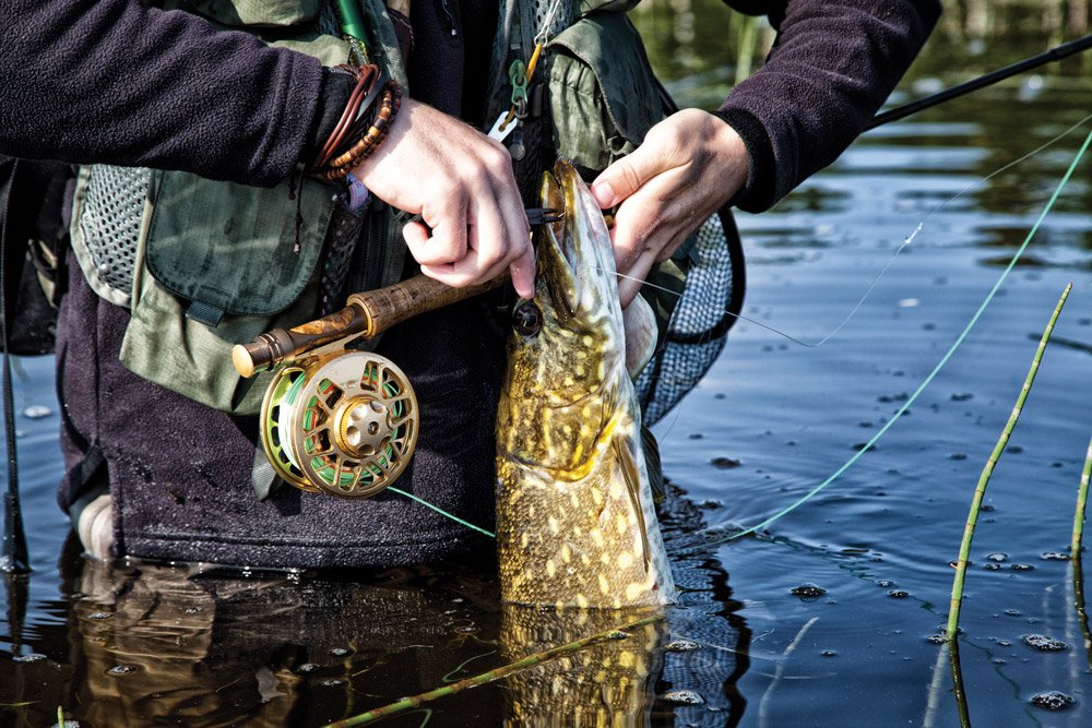 Pike fly fishing discount