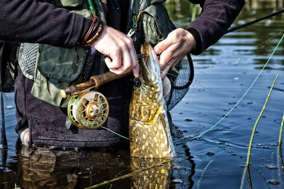 Patience pays off for this fly-fisherman