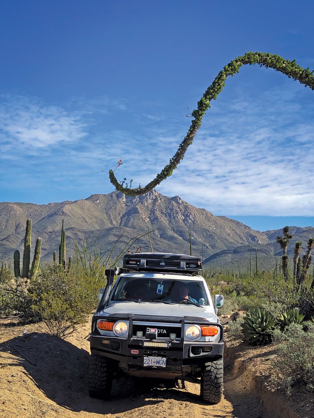 FJ Cruiser on one of many adventures outdoors