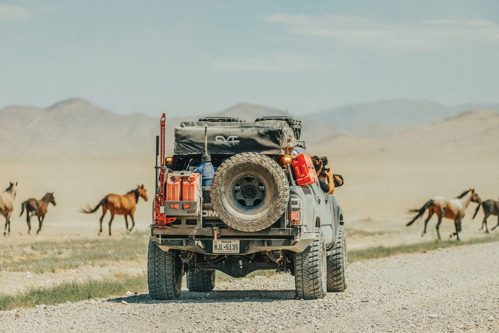 Tacomabeast ride along with wild horses