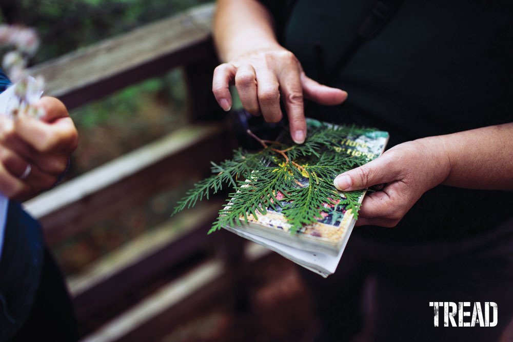 A guided plant walk is one of the best ways to learn about edible wild plants