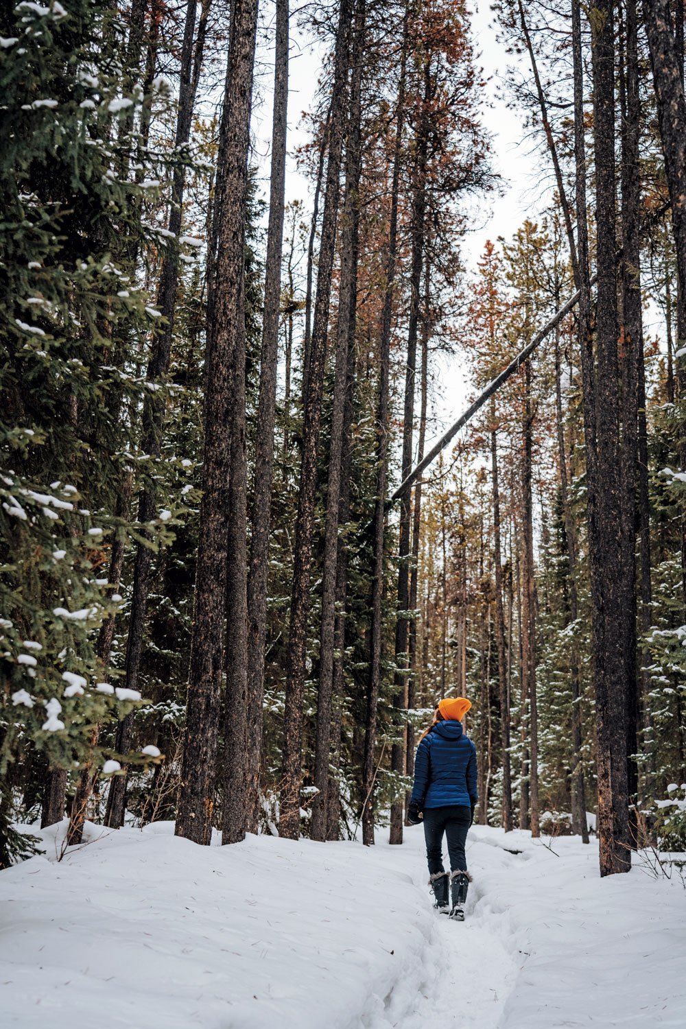 Woman walks in snow in Arctic Canada.