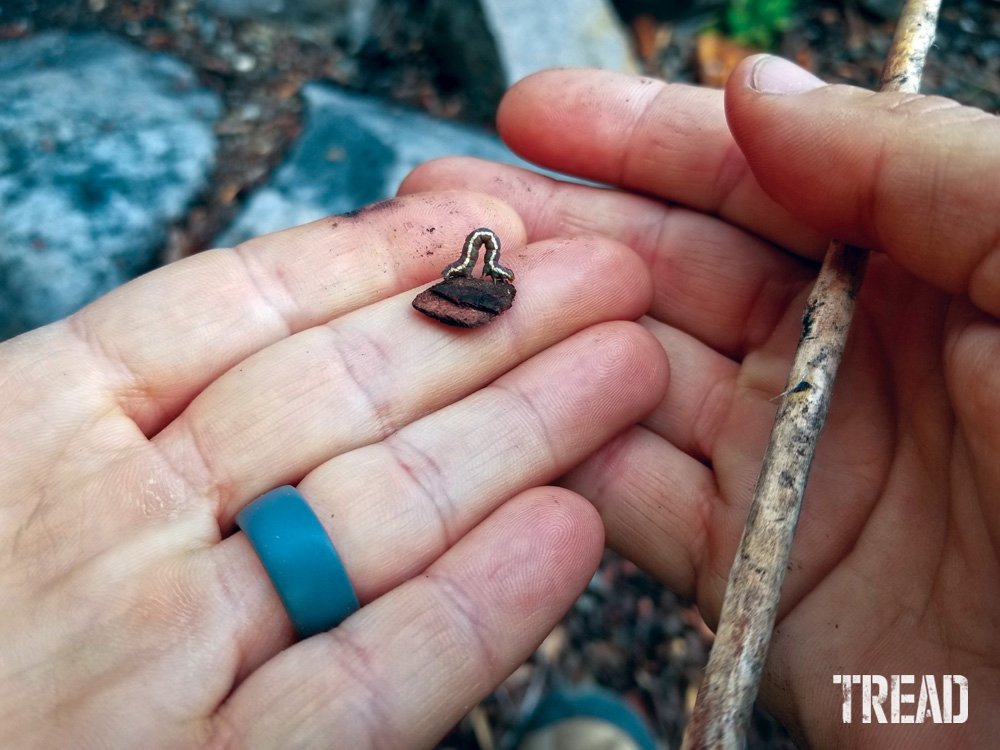 Small inch worm in hand