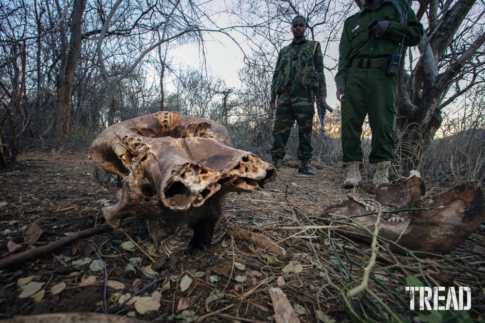 Rangers at a rhino reserve in Kenya.