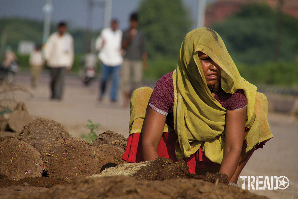 A rural Indian woman, wrapped in colorful clothing forms dung cakes from elephant droppings.