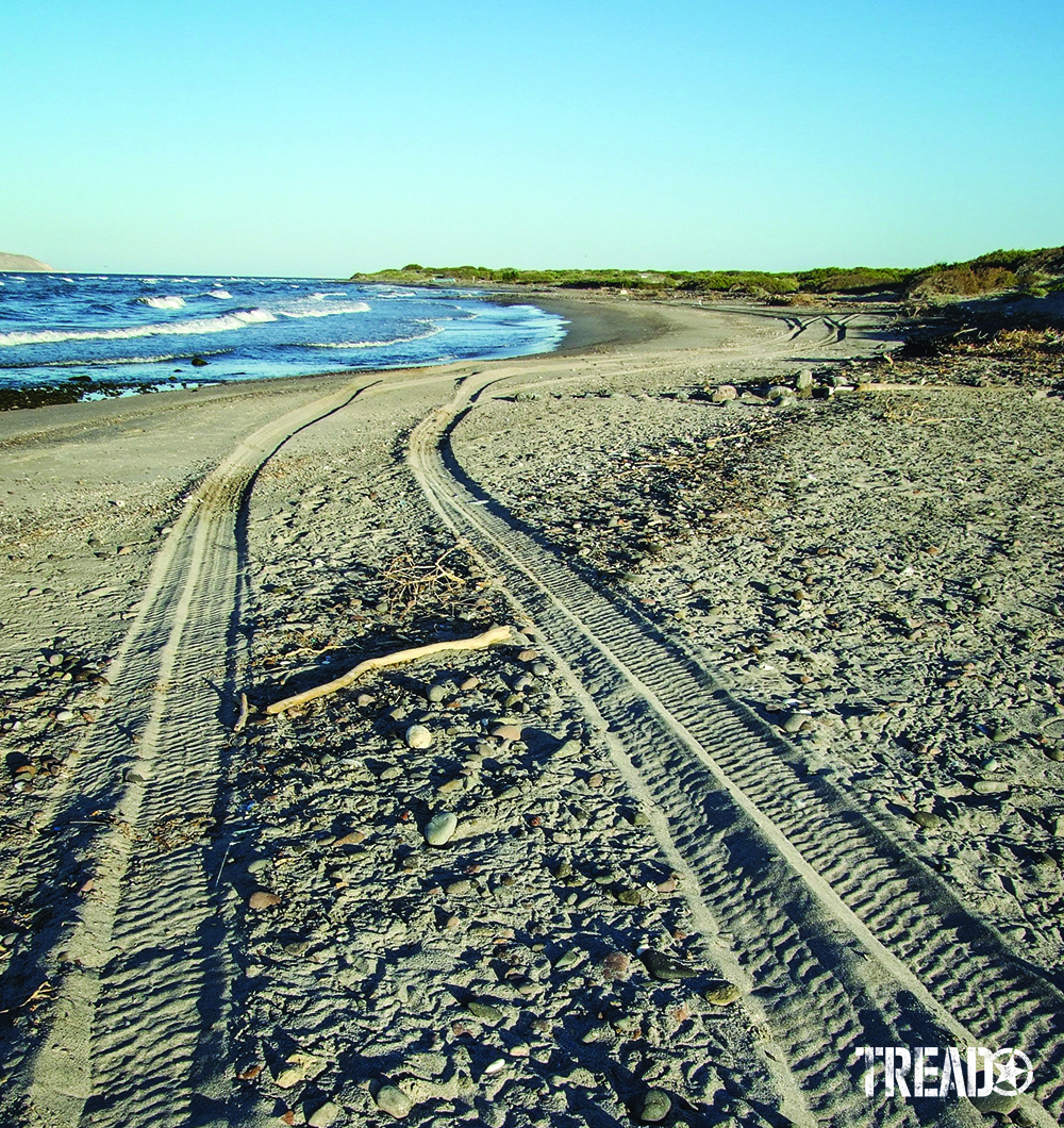 Tire tracks on soft sand tracks towards the oceanside. 