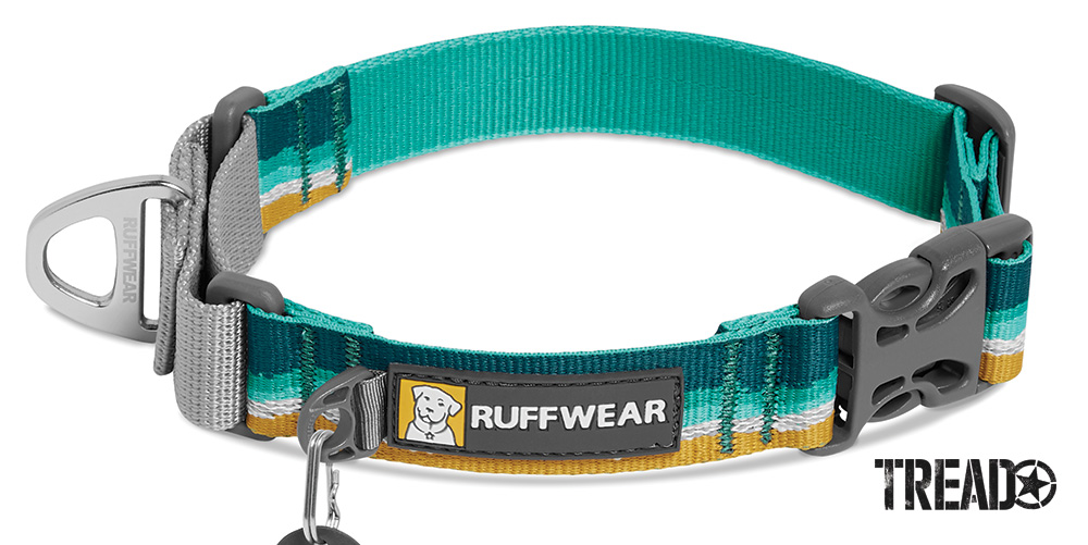 We like the Web Reaction Collar from RuffWear. It’s a martingale collar with a buckle for easy on and off. It has mint green, yellow, and gray material that includes reflective Tubelok webbing.