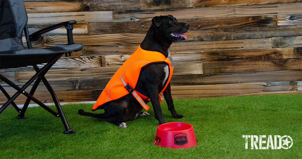 The K9 Cooling Vest from CVT is designed with a breathable, mesh exterior. It incorporates an absorbent cotton interior and is easily buckled on and off. It features a reflective trim and is available in high-visibility orange.