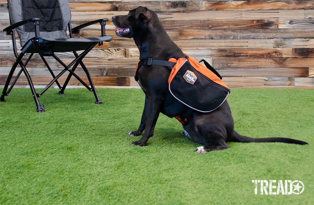 This black and orange day pack has pockets that are lined with breathable mesh-and-foam padding. Made to last with a ripstop shell, one side of the pack features attachment loops, and the other side sports hook-and-loop attachments.