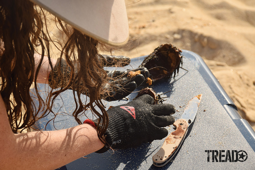 Urchin Camp Cooking 