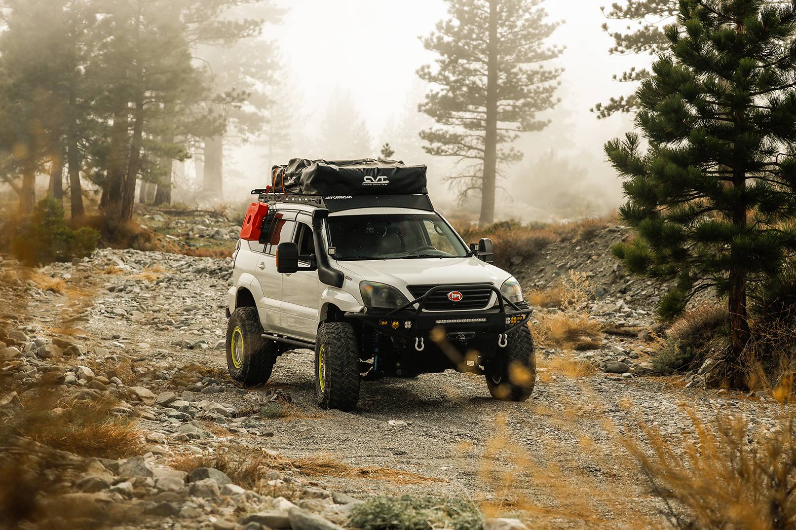 White Lexus GX470 with roof top tent and red storage boxes is parked in forest.