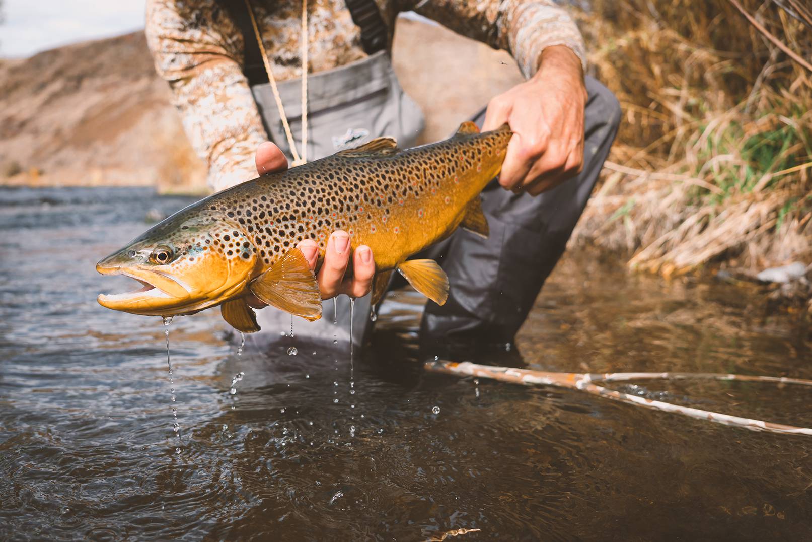 Man hold fish just above waterline.