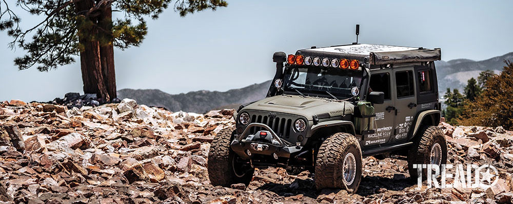 Green overlanding Jeep parked on rocks near a pine tree on a mountain.