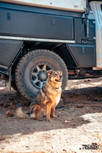 Teddy proudly guards the rig in front of ICON Alloy Rebound wrapped in BFG KO2s