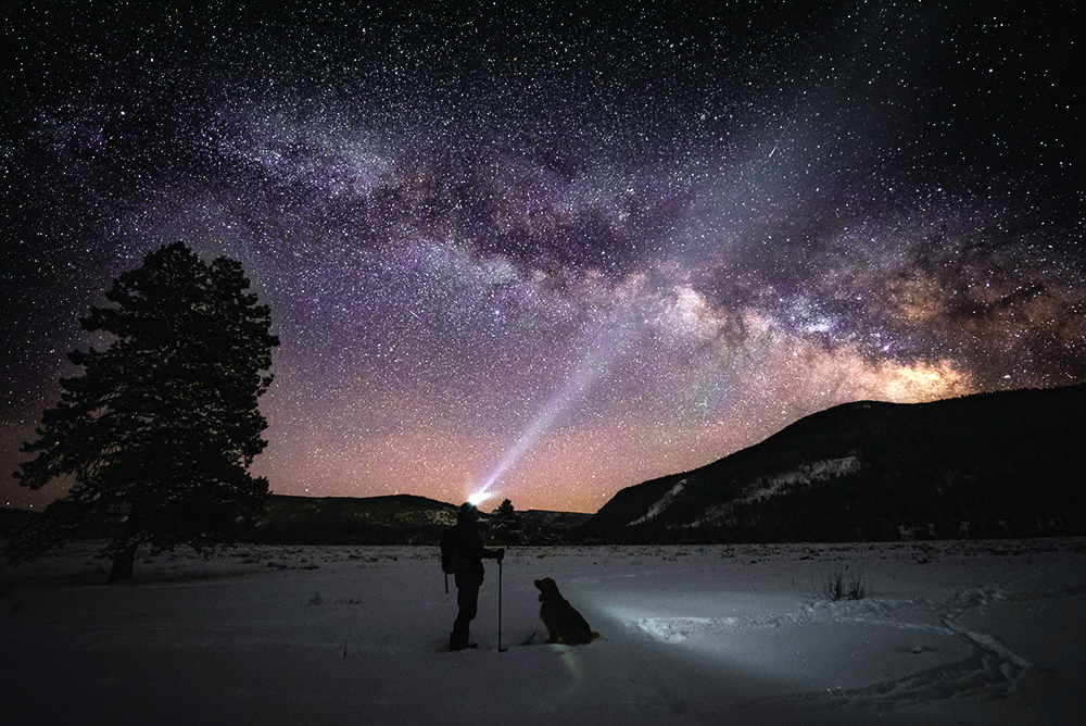 Muse and Kicker in the snow under the night sky.