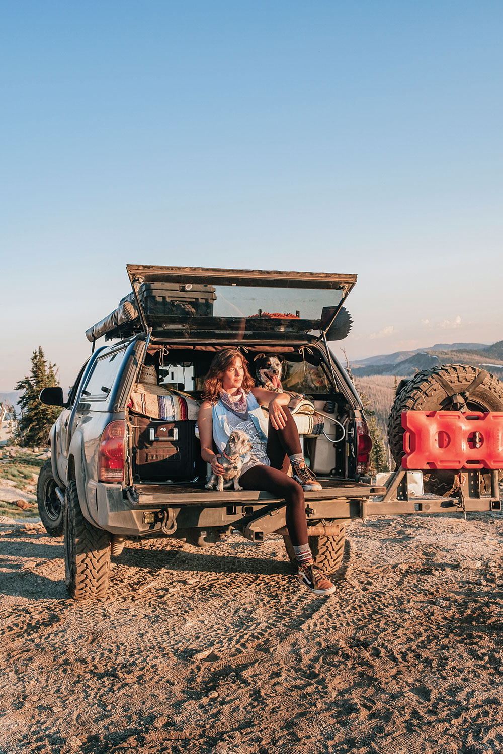 Lizzy relaxes with two pups on the truck's tailgate.