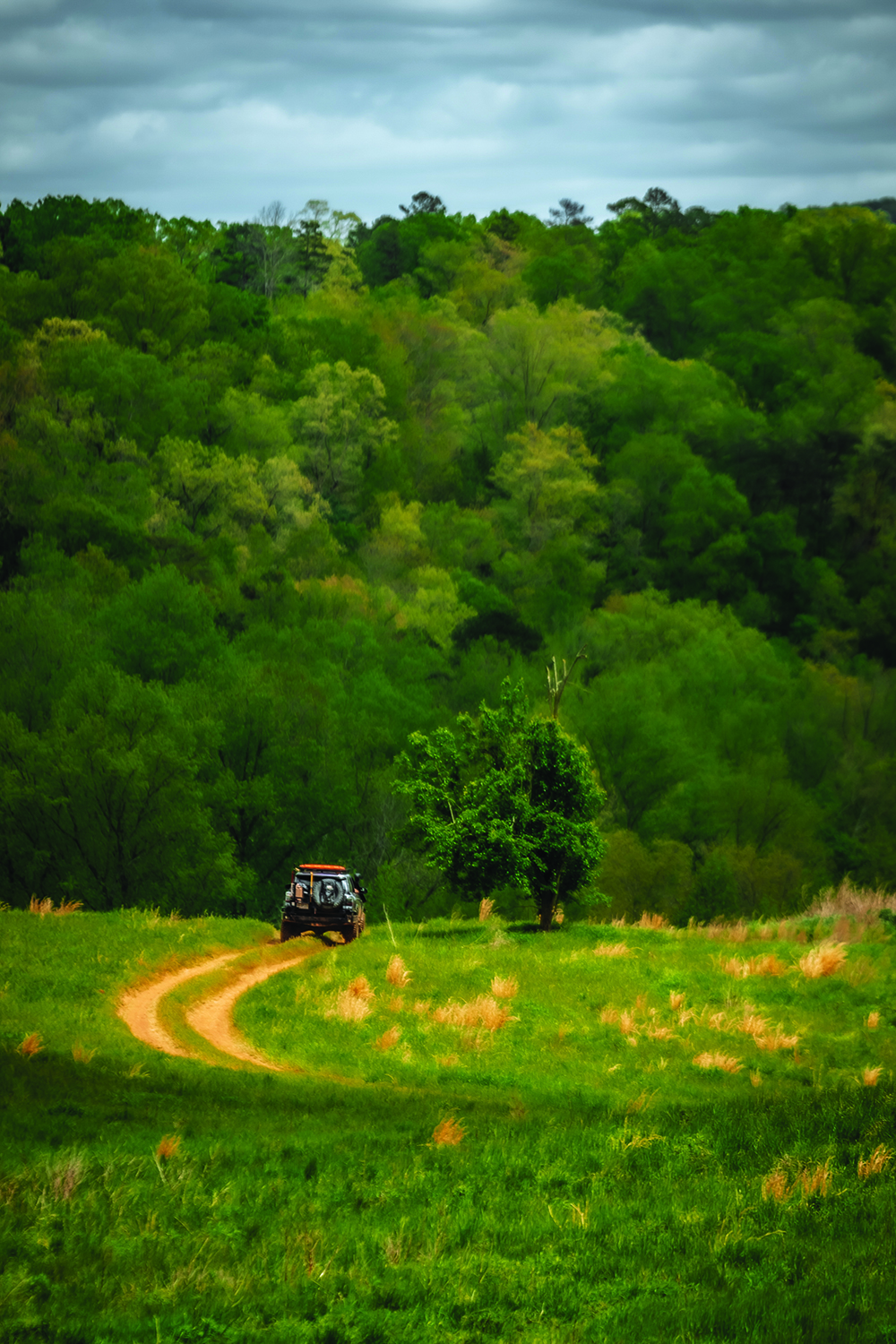 Tire tracks into a heavily wooded background are followed by the black 4Runner.