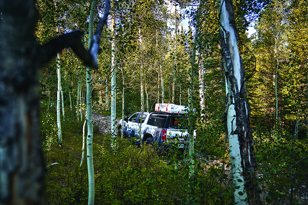 The Silverado hides among the trees and eases down the trails