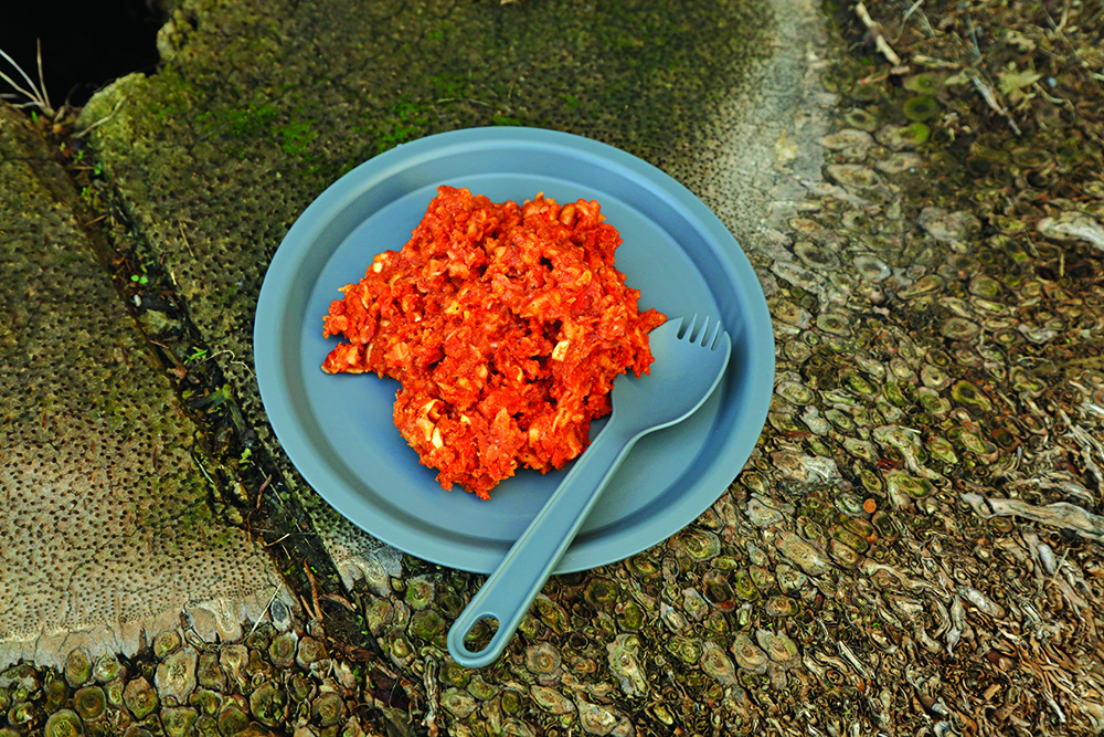 The author's serving of Hearty Lasagna.