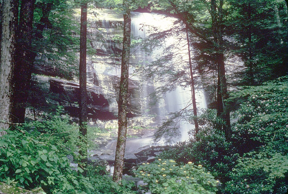 Mist from 80' high Rainbow Falls produces a rainbow in Great Smoky Mountains National Park