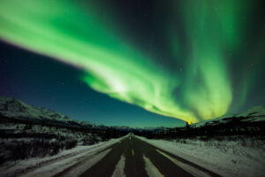 Aurora Borealis in Denali National Park