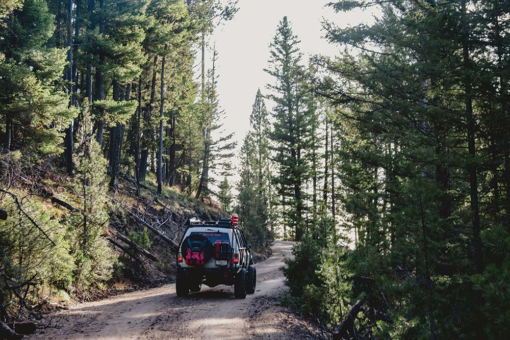 The 4Runner on dirt trails surrounded by pine trees.