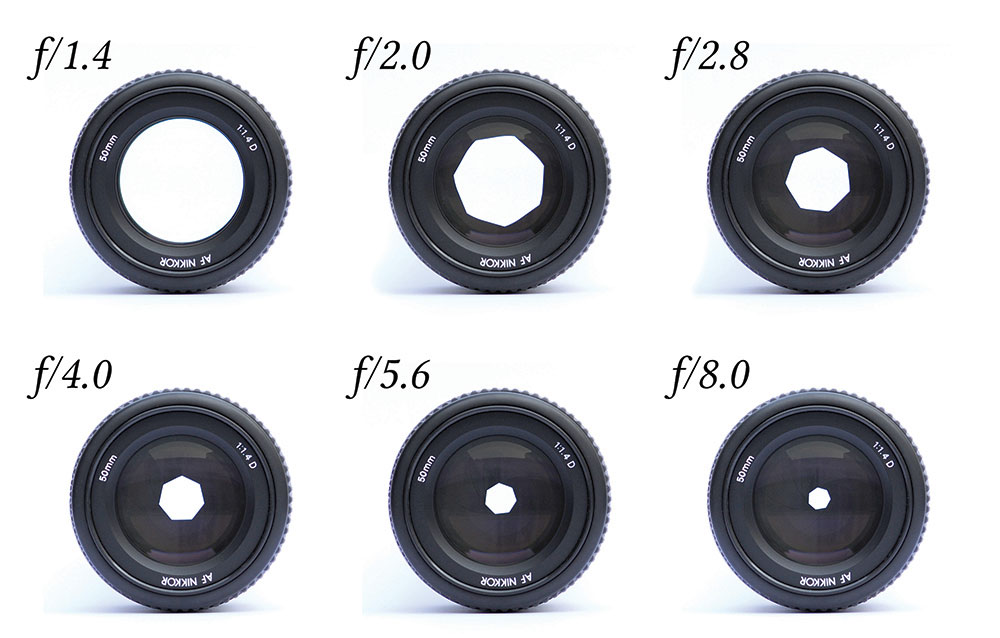 Diagram of different levels of f-stop in an outdoor photogrpahy camera lens.