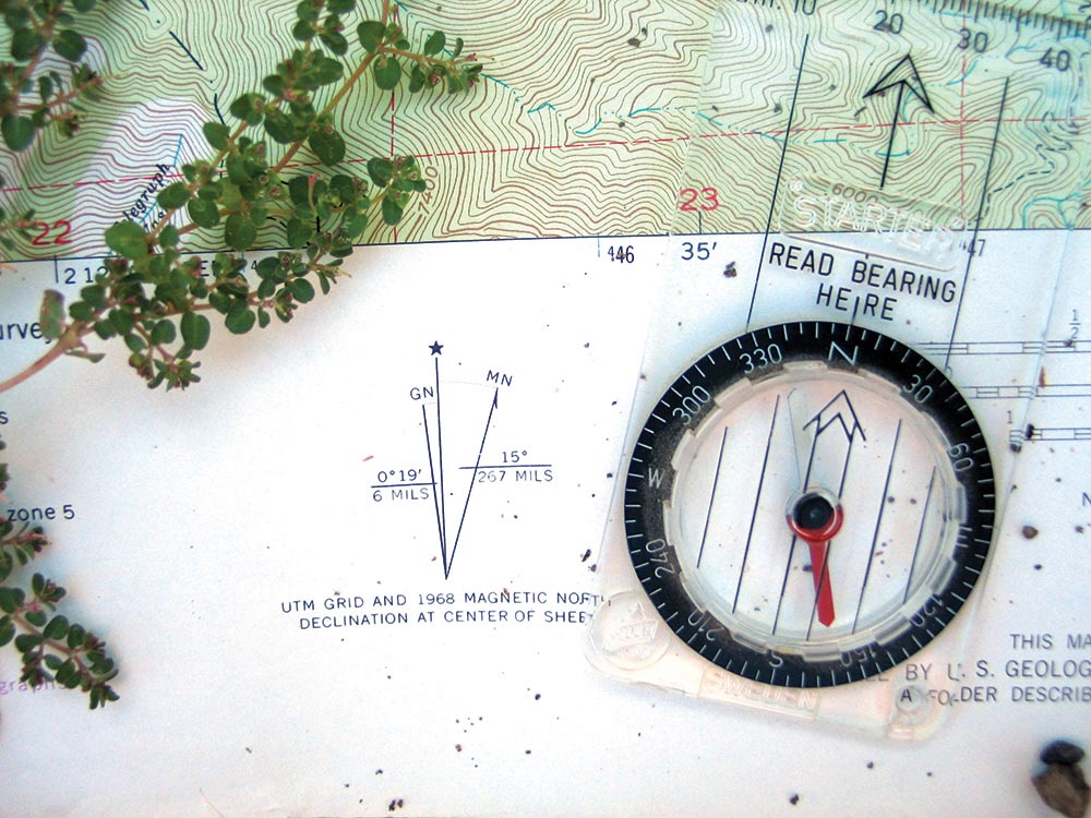Compass reading on top of a map with a tree branch.