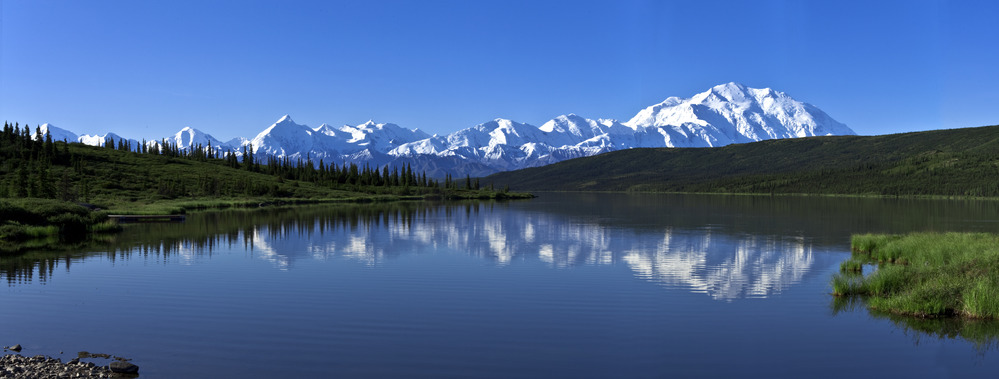 Pterosaur - Denali National Park & Preserve (U.S. National Park