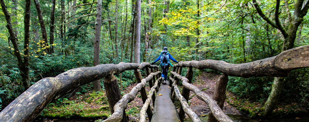 Walking the Cataloochee hiking trail in Great Smoky Mountains National Park.