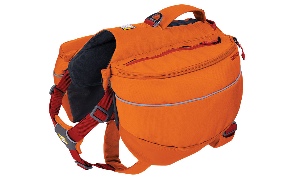 Orange dog backpack family gear 