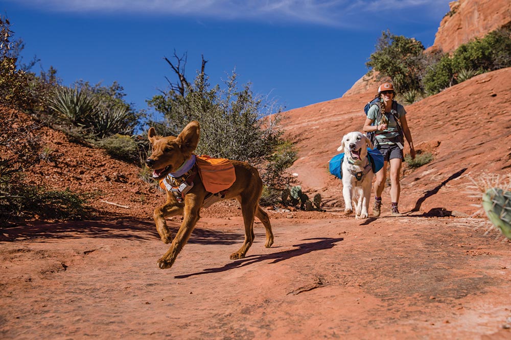 Ruffwear / Camp & Hike Collection, dogs running on a trail with their owner 